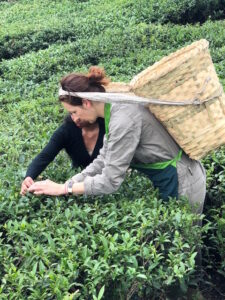 Isaline Lannoy Tea Sommelier