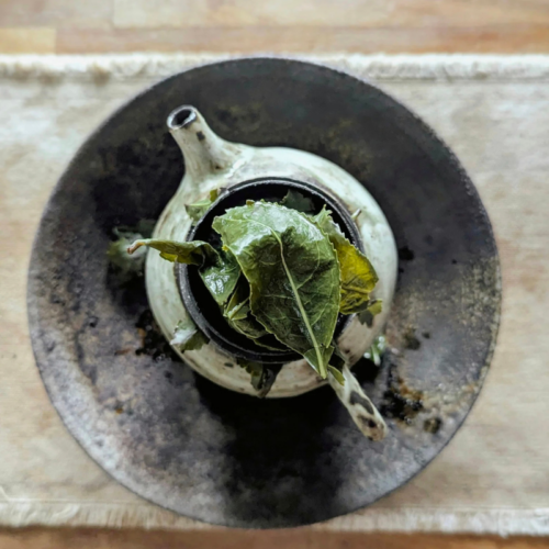 Thé et santé