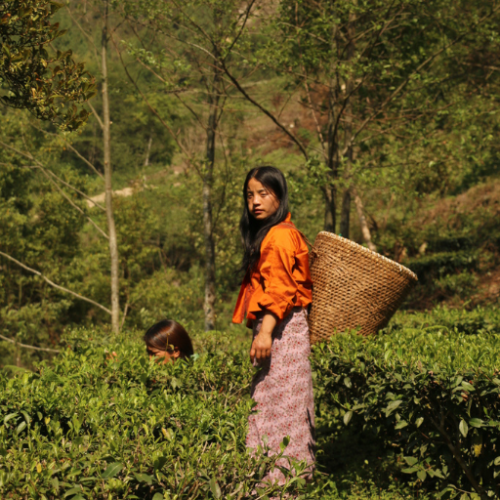 Cooperative de femmes au Bouthan