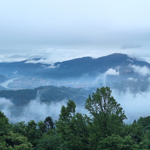 Brumes du Sichuan