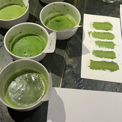 Matcha