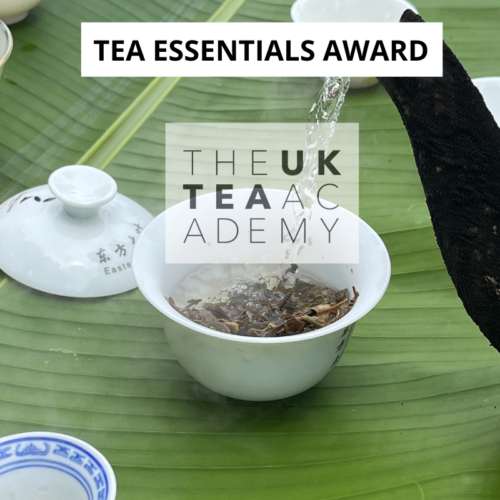 Tea Essentials award